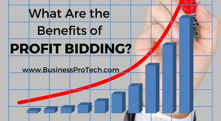 benefits-of-profit-bid