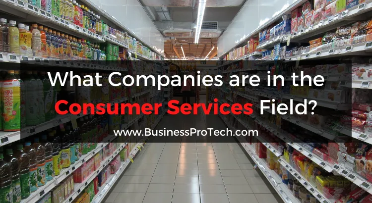 What-companies-are-in-the-consumer-services-field?