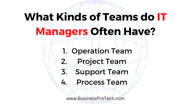 what-kinds-of-teams-do-it-managers-have