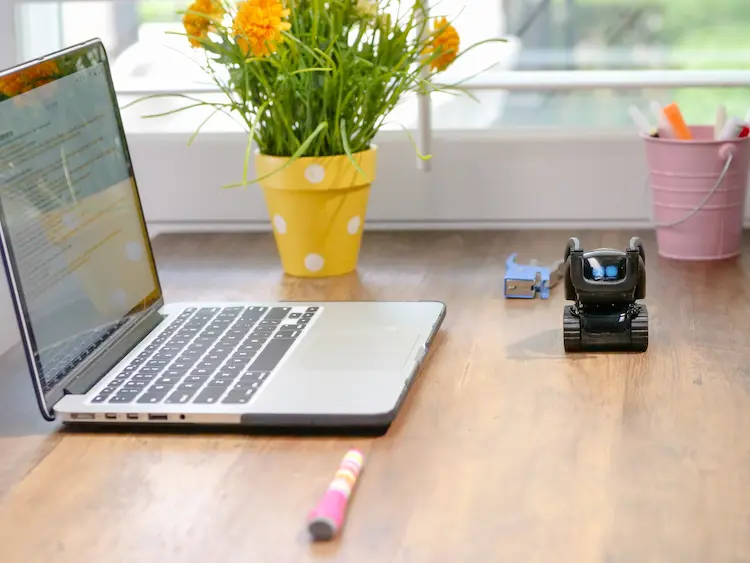 laptop-with-flower-pot