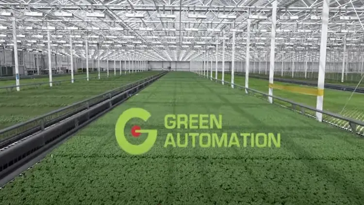 green-automation-movement